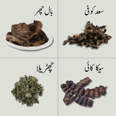 Your Hair Health Doctor