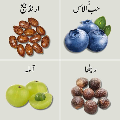 Your Hair Health Doctor
